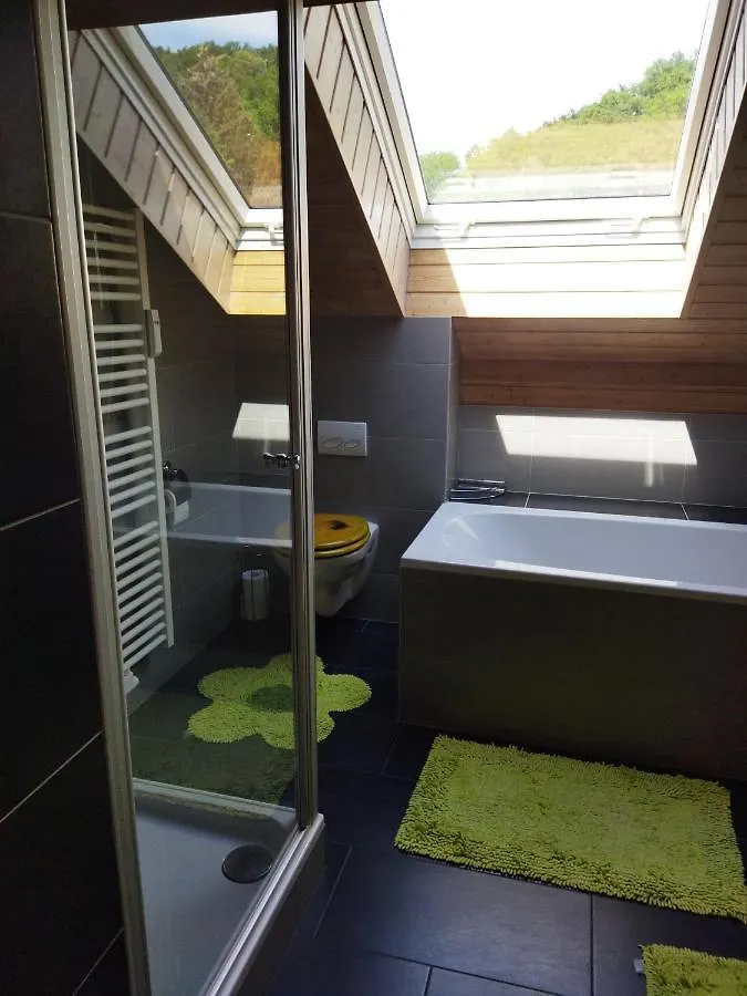 Apartment Aussergewoehnliche Atelierferienwohnung Mit Balkon An Der Donau Winzer