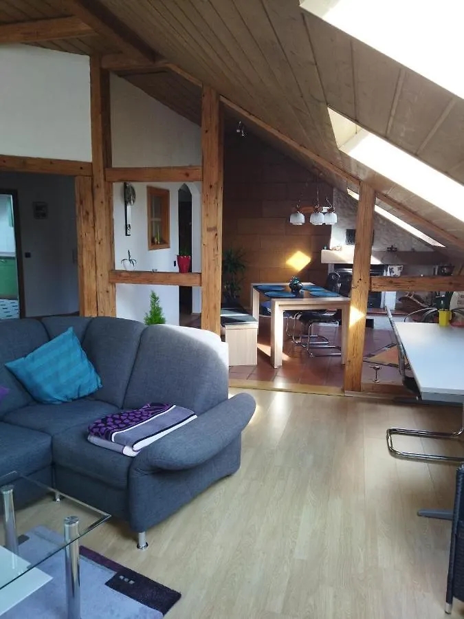Apartment Aussergewoehnliche Atelierferienwohnung Mit Balkon An Der Donau Winzer Germany