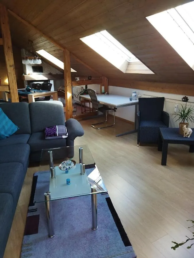 Aussergewoehnliche Atelierferienwohnung Mit Balkon An Der Donau Winzer