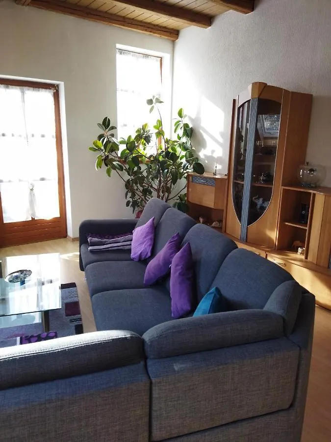 Apartment Aussergewoehnliche Atelierferienwohnung Mit Balkon An Der Donau Winzer