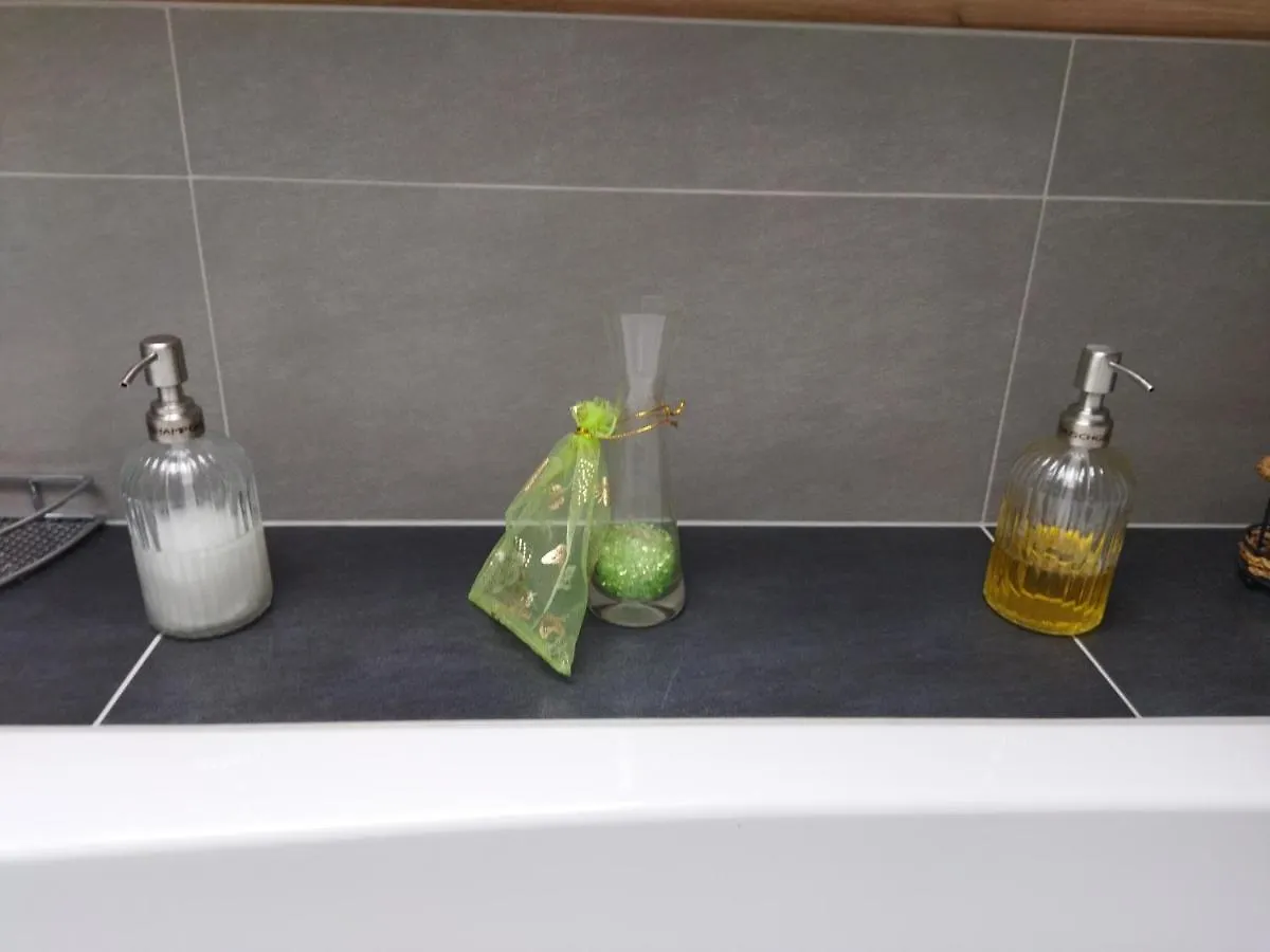 Apartment Aussergewoehnliche Atelierferienwohnung Mit Balkon An Der Donau Winzer